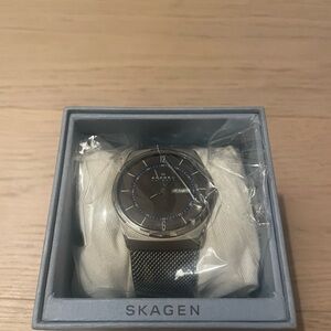 Skagen Silver and Black Mesh Watch